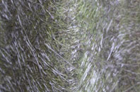 Gillan fibreglass roof work