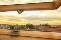 rated Gillan roof window companies